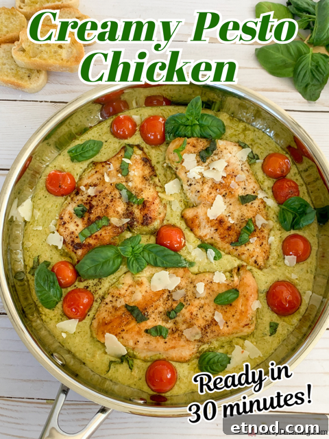Creamy Basil Pesto Chicken Recipe with Garlic Parmesan Sauce 14 creamy pesto chicken, easy pesto chicken one pan pesto chicken, 30 minute pesto chicken, best easy creamy basil pesto chicken dinner recipe ideas, store-bought pesto chicken, easy family meals, easy company meals, best easy basil pesto chicken with orzo
