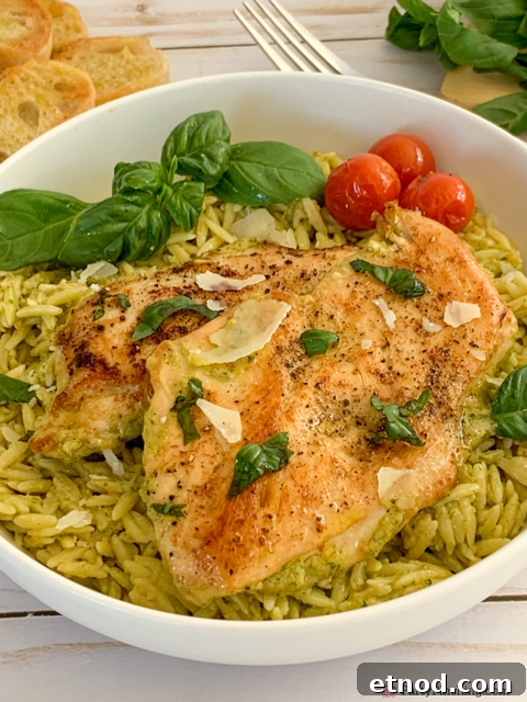 Creamy Basil Pesto Chicken Recipe with Garlic Parmesan Sauce 3 creamy pesto chicken, easy pesto chicken one pan pesto chicken, 30 minute pesto chicken, best easy creamy basil pesto chicken dinner recipe ideas, store-bought pesto chicken, easy family meals, easy company meals, best easy basil pesto chicken with orzo