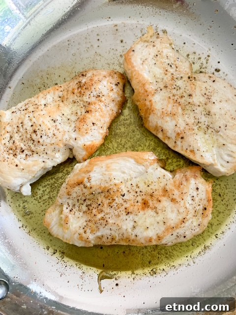 Creamy Basil Pesto Chicken Recipe with Garlic Parmesan Sauce 6 img 21995 5