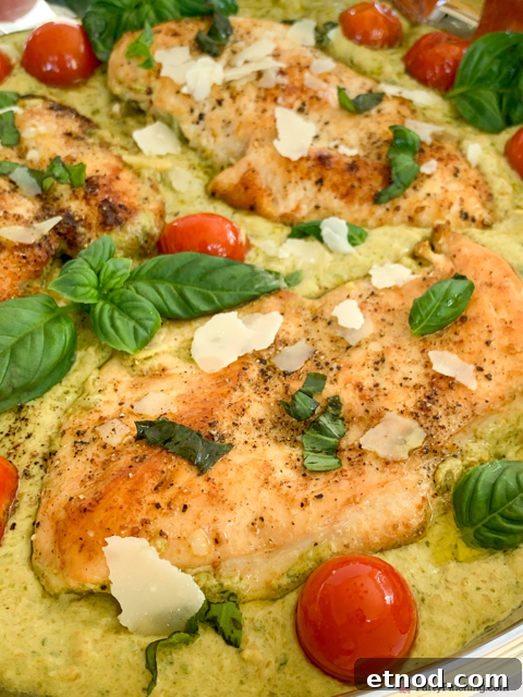 Creamy Basil Pesto Chicken Recipe with Garlic Parmesan Sauce 10 creamy pesto chicken, easy pesto chicken one pan pesto chicken, 30 minute pesto chicken, best easy creamy basil pesto chicken dinner recipe ideas, store-bought pesto chicken, easy family meals, easy company meals, best easy basil pesto chicken with orzo