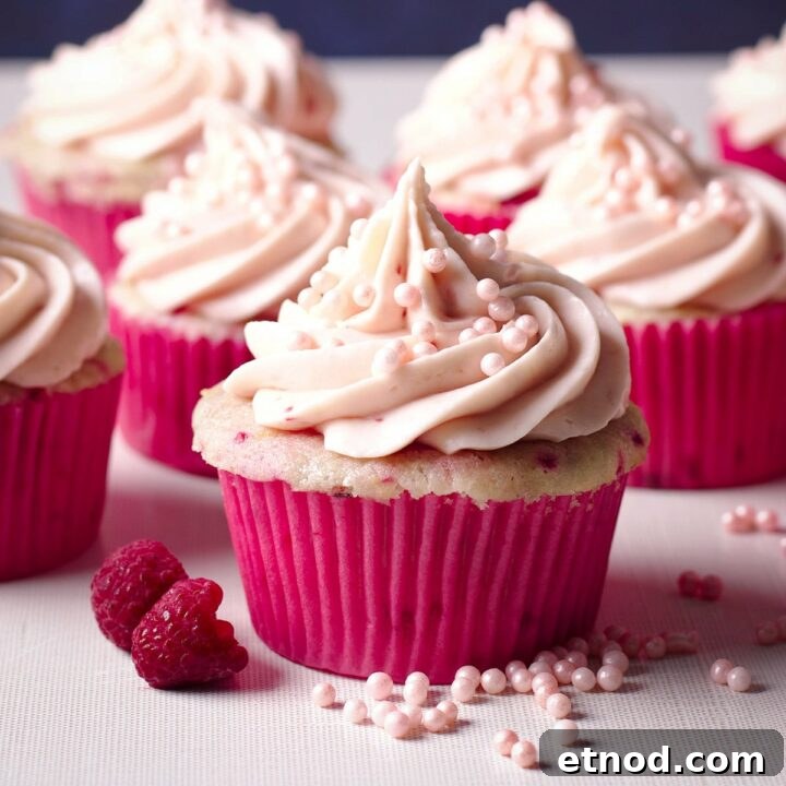 Several raspberry cupcakes topped with a swirl of raspberry cream cheese frosting.