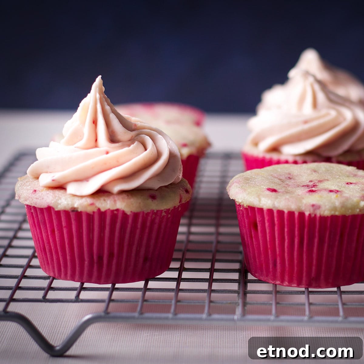 Raspberry Cream Cheese Frosting Recipe for Cakes & Cupcakes 4 Several raspberry cupcakes frosted with raspberry cream cheese buttercream on a baking rack.