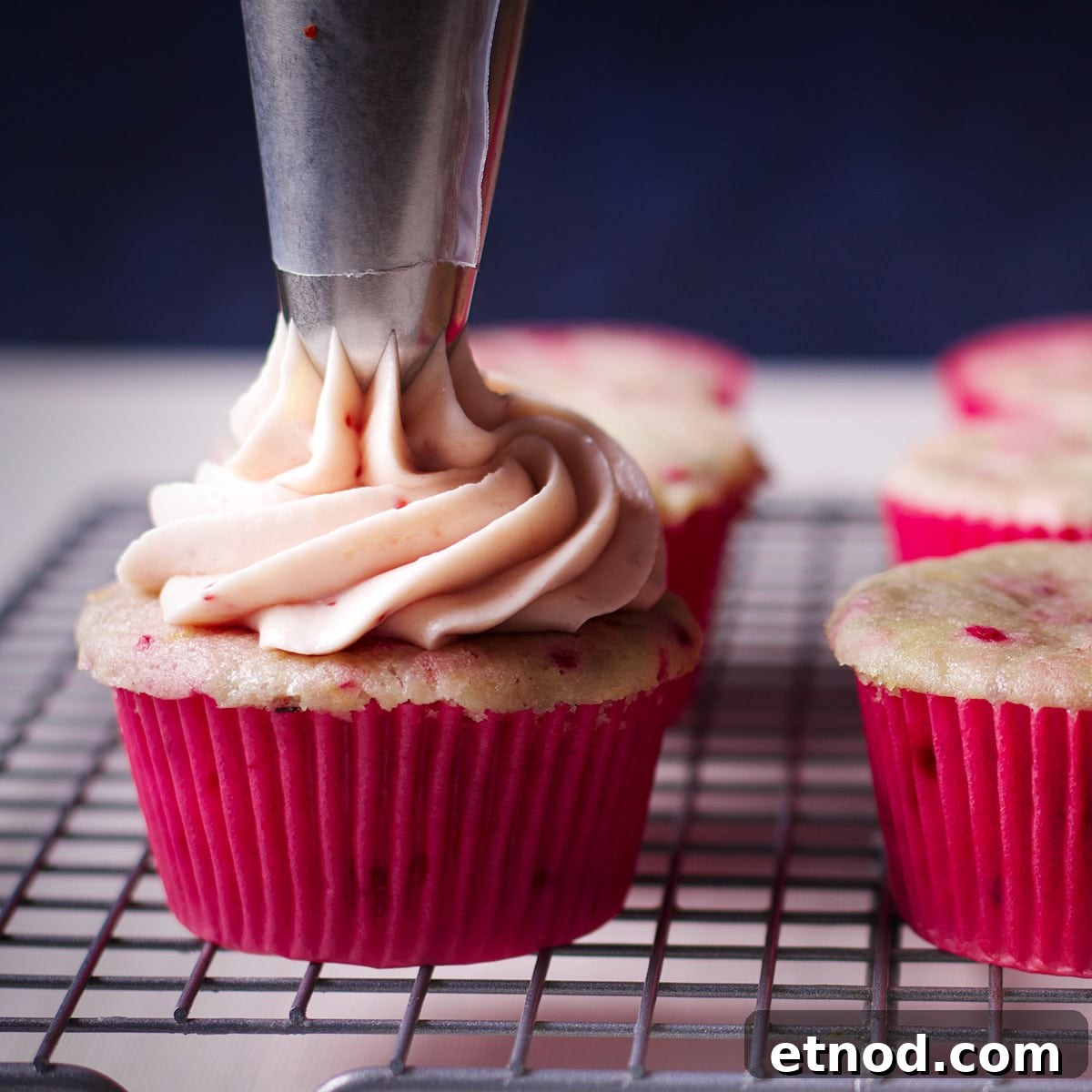 Raspberry Cream Cheese Frosting Recipe for Cakes & Cupcakes 8 Using a pastry bag and cupcake tip to pipe a swirl of raspberry cream cheese frosting on a raspberry cupcake.