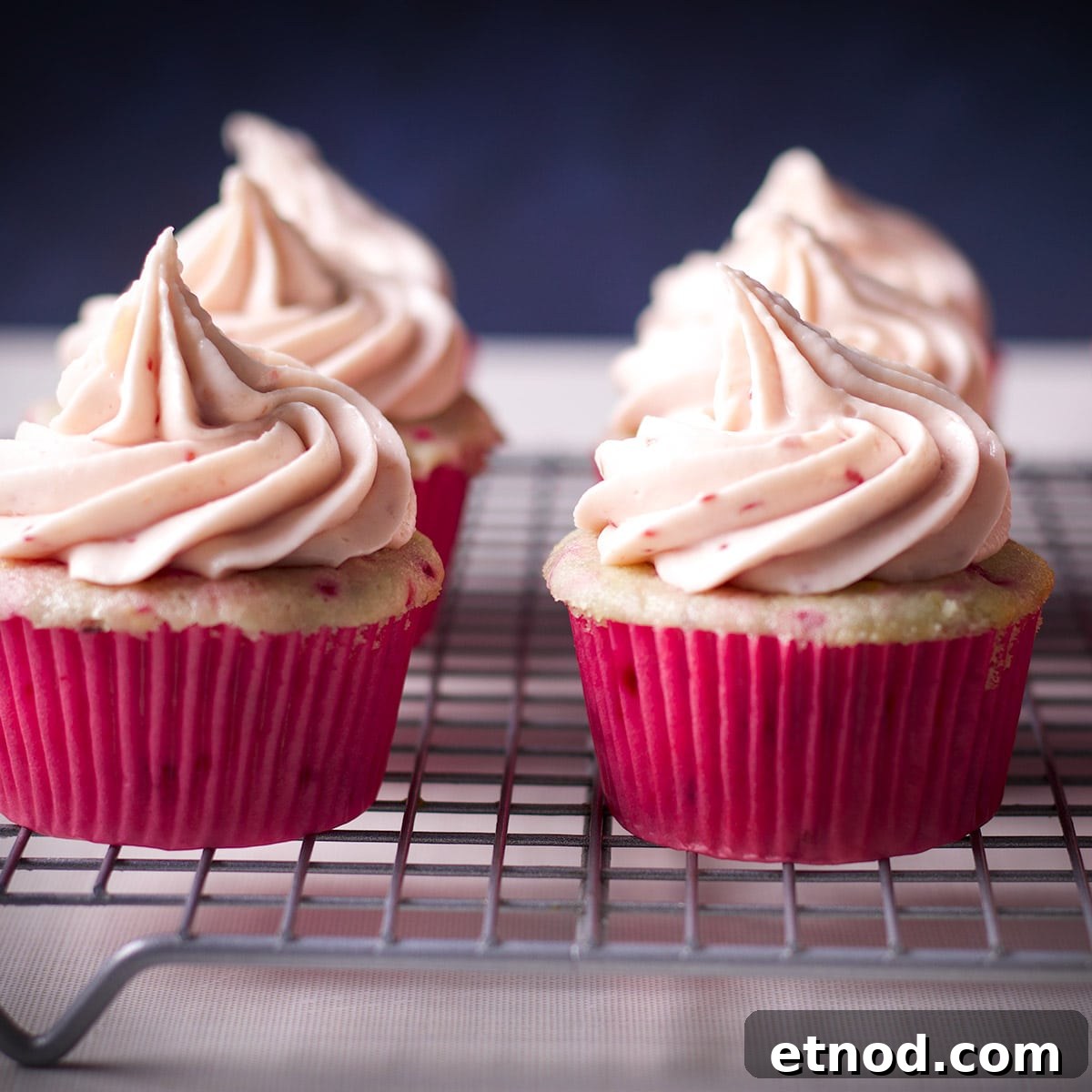 Raspberry Cream Cheese Frosting Recipe for Cakes & Cupcakes 9 Several raspberry cupcakes frosted with raspberry cream cheese buttercream on a baking rack.
