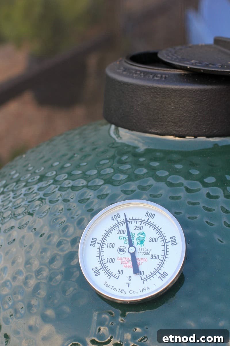 Smoky Grilled Green Bean Casserole with Crispy Bacon 5 thermometer on the grill showing 425 degrees