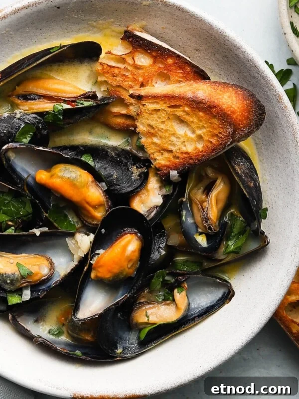 Old Bay Shrimp Cocktail with Creamy Mayo Dip 6 Steamed mussels in white wine sauce with herbs and toasted bread.