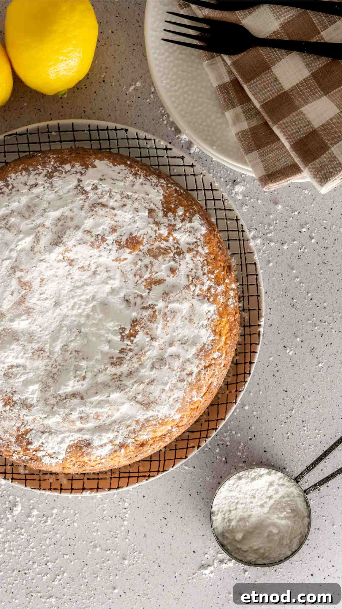 Zesty Lemon Yogurt Cake Recipe with Moist, Tangy Crumb 6 A lemon and yogurt cake in a 9 inch cake pan dusted with powdered sugar.