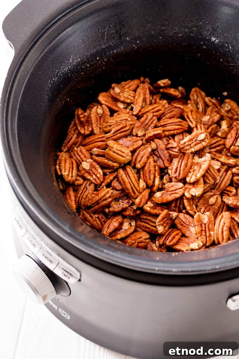 Candied Pecans made in a crockpot are an addictive party treat! With a delicious maple bourbon coating, they’re a great edible gift too! candied pecans after cooking in a slow cooker