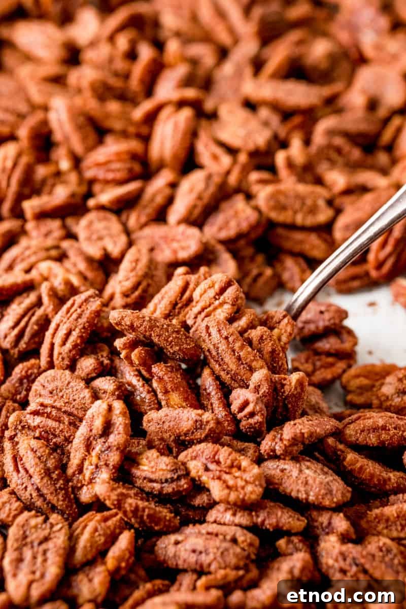 Candied Pecans made in a crockpot are an addictive party treat! With a delicious maple bourbon coating, they’re a great edible gift too! spoon scooping dried candied pecans off a baking sheet