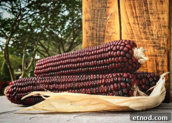 Jimmy Red Corn Saved From Extinction for Whiskey and Grits 7 Red corn kernels and heirloom seed corn