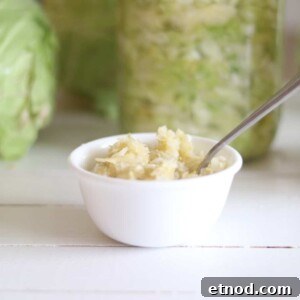 Quick 2-Ingredient Sauerkraut Recipe for Tangy Homemade Ferment 11 Learn how to make sauerkraut with only cabbage and salt. No special fermenting equipment is needed for this recipe.