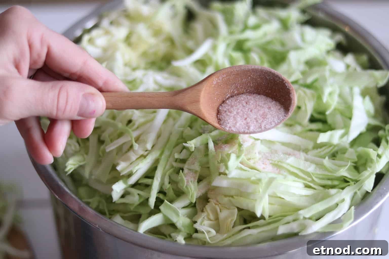 Quick 2-Ingredient Sauerkraut Recipe for Tangy Homemade Ferment 5 Shredded cabbage with pink Himalayan salt in large bowl.