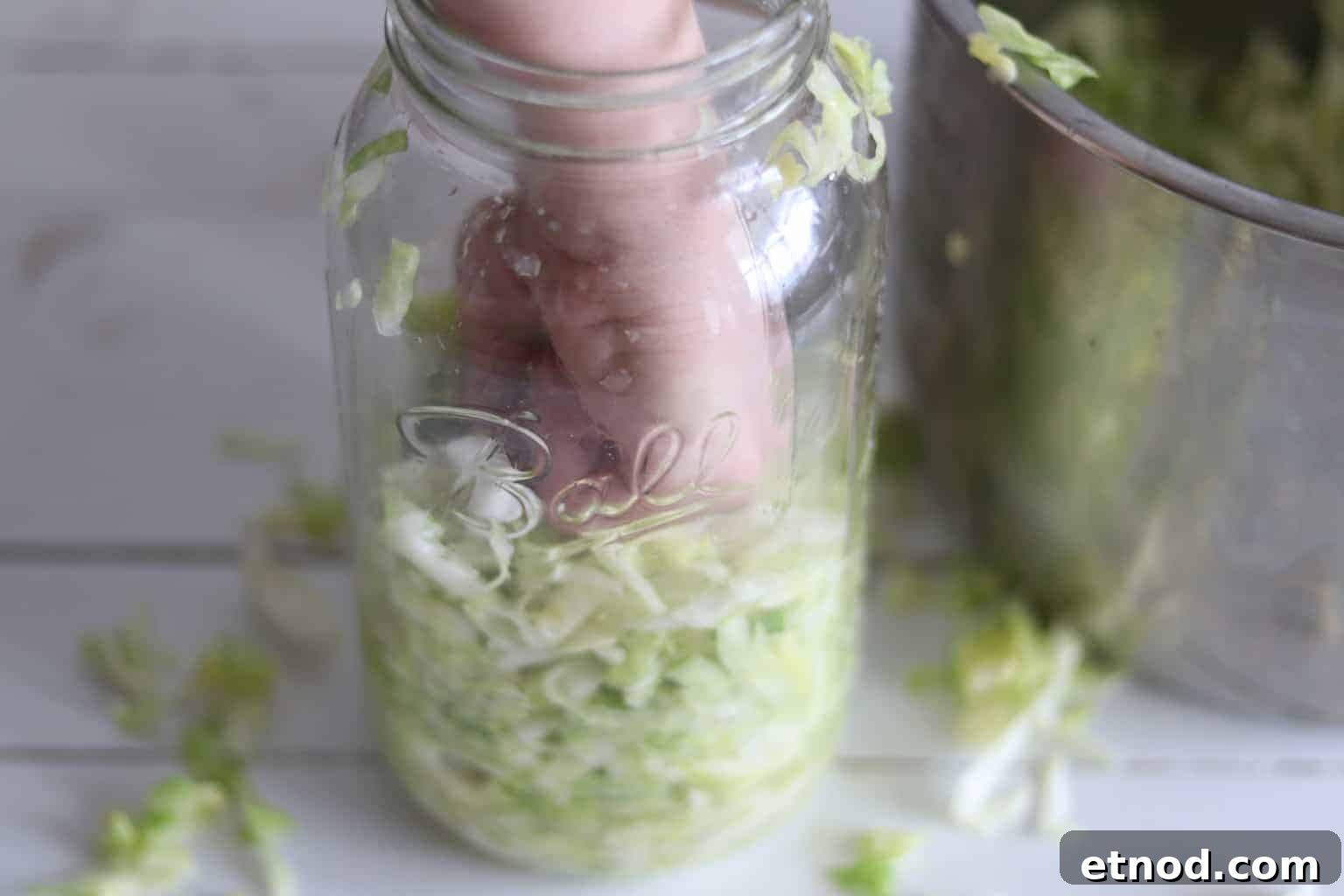 Quick 2-Ingredient Sauerkraut Recipe for Tangy Homemade Ferment 7 Hand punching cabbage into mason jar.