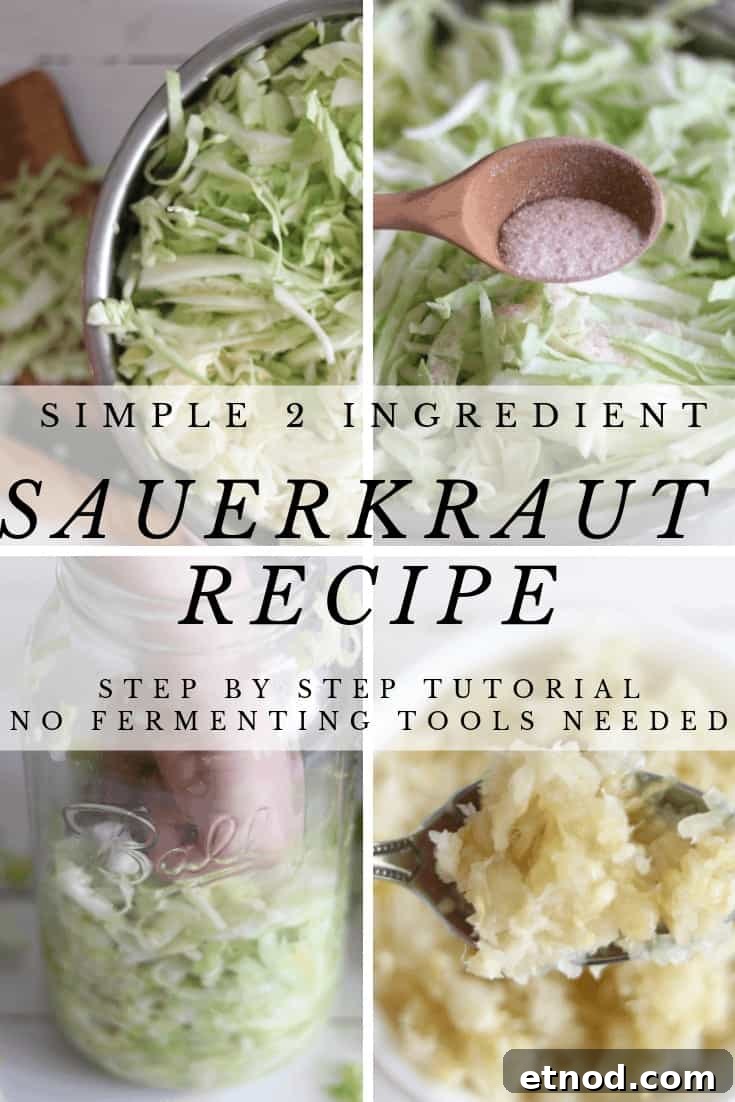 Quick 2-Ingredient Sauerkraut Recipe for Tangy Homemade Ferment 10 img 2412 9