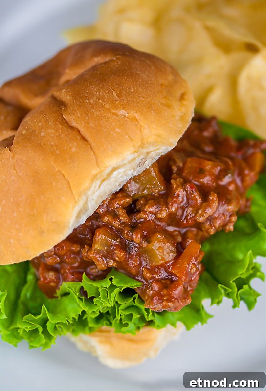 Gluten-Free Sloppy Jose Sandwiches with Zesty Mexican Beef 3 Gluten Free Mexican Flavored Sloppy Jose Sandwiches © 2016 Jane Bonacci, The Heritage Cook