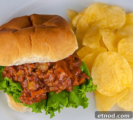 Gluten-Free Sloppy Jose Sandwiches with Zesty Mexican Beef 6 Gluten Free Mexican Flavored Sloppy Jose Sandwiches © 2016 Jane Bonacci, The Heritage Cook