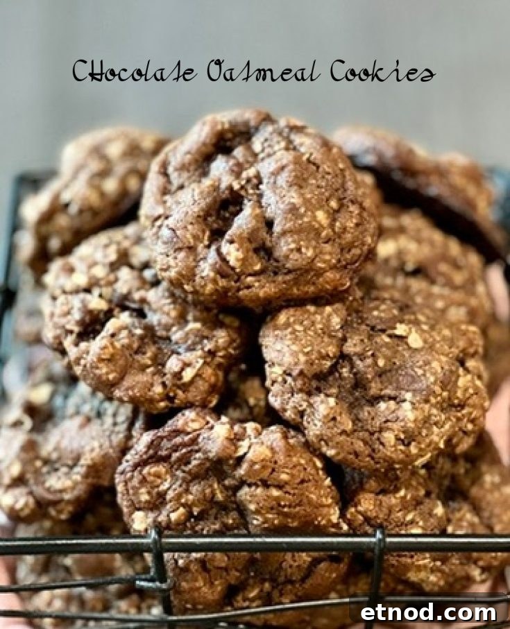 Image for Chocolate Oatmeal Cookies