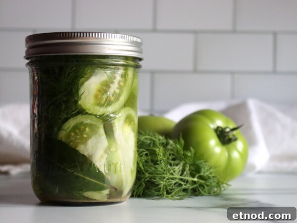 Authentic Amish Chow-Chow Recipe: Classic Southern Pickled Relish 9 Dill Pickled Green Tomatoes