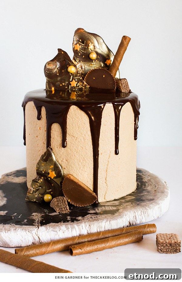 How to Make a Dripping Chocolate Cake with Ganache Finish 4 How to make a drippy ganache cake | Erin Gardner for TheCakeBlog.com
