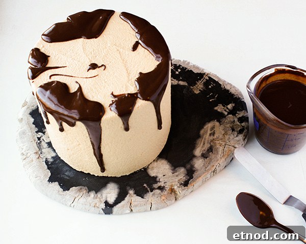 How to Make a Dripping Chocolate Cake with Ganache Finish 6 How to make a drippy chocolate cake | Erin Gardner for TheCakeBlog.com