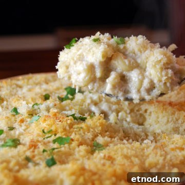 Almost Zov’s Mac and Cheese Recipe for Creamy, Tangy Flavor 4 almost_zov's_mac_and_cheese