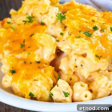 Almost Zov’s Mac and Cheese Recipe for Creamy, Tangy Flavor 5 mac and cheese chick fil a on a plate