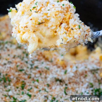 Almost Zov’s Mac and Cheese Recipe for Creamy, Tangy Flavor 6 Ladle scooped creamy crockpot mac and cheese
