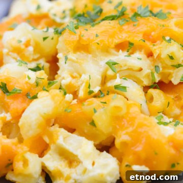 Almost Zov’s Mac and Cheese Recipe for Creamy, Tangy Flavor 7 Paula Deen Mac and Cheese, topped with chopped parsley, on a plate