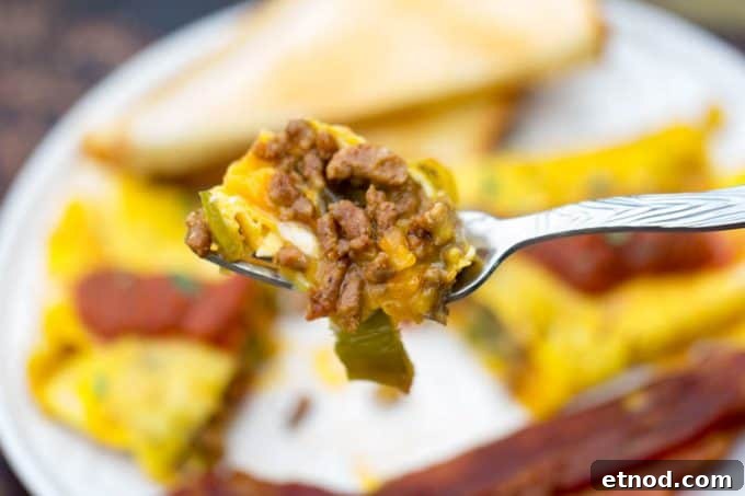 Spicy Chorizo and Chile Omelette Recipe for Brunch 7 Chorizo Chile Omelet