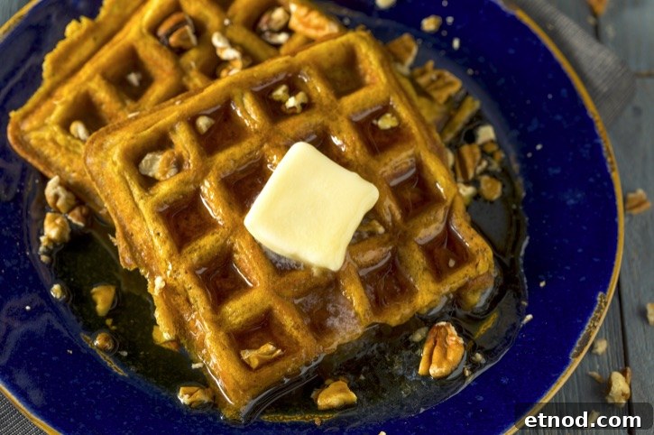 Pumpkin Spice Waffles with Maple Syrup Recipe 2 Looking for sweet fall breakfast ideas? Try these Quick and Easy Pumpkin Waffles Made With Bisquick Pancake Mix and Canned Pumpkin