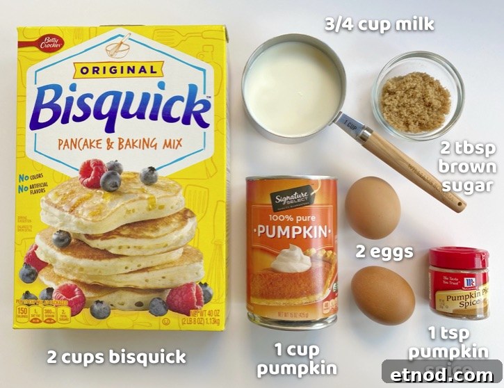 Pumpkin Spice Waffles with Maple Syrup Recipe 3 How To Make Pumpkin Waffles With Bisquick Pancake Mix