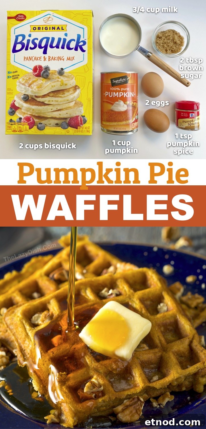 Pumpkin Spice Waffles with Maple Syrup Recipe 6 These simple pumpkin pie waffles are made with just a few ingredients including Bisquick, eggs, pumpkin puree, brown sugar and milk! A super quick and easy breakfast idea for fall-- Halloween, Thanksgiving or even Christmas mornings! Fun and easy to make in your waffle iron. Serve with butter, syrup and chopped pecans. Your entire family will love this yummy breakfast idea (including your picky kids). If you're looking for pumpkin recipes, these waffles are always a hit. #pumpkin #waffles