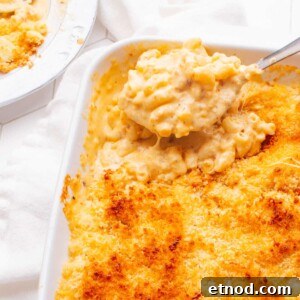 Old Fashioned Baked Macaroni and Cheese with a spoon scooping some out.