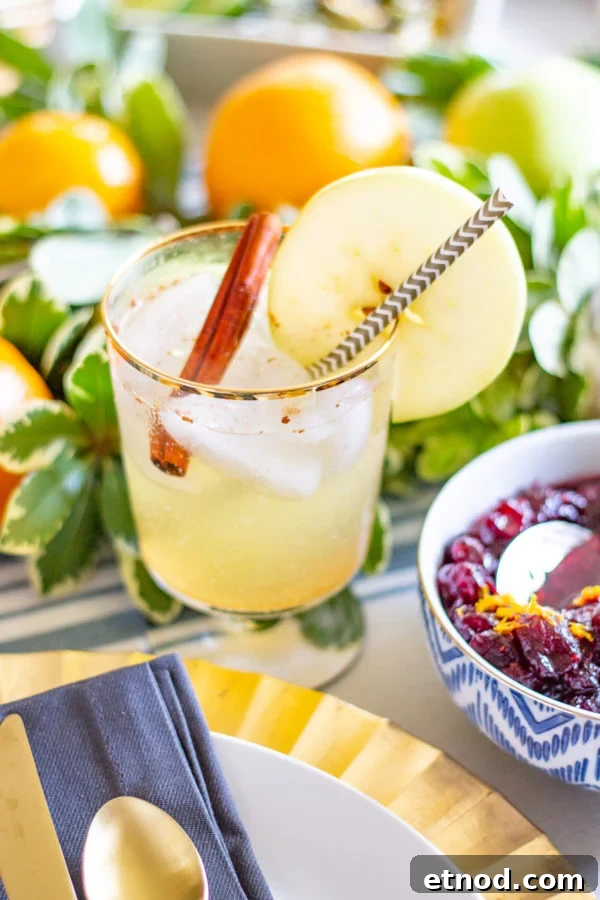 Apple Moscow Mule Mocktail | This mocktail is a drink to serve at Thanksgiving or any fall get together. You can serve it as a mocktail, or you can easily turn it into a cocktail by adding some vodka. Apple Moscow Mule Mocktail | This mocktail is a drink to serve at Thanksgiving or any fall get together. You can serve it as a mocktail, or you can easily turn it into a cocktail by adding some vodka.