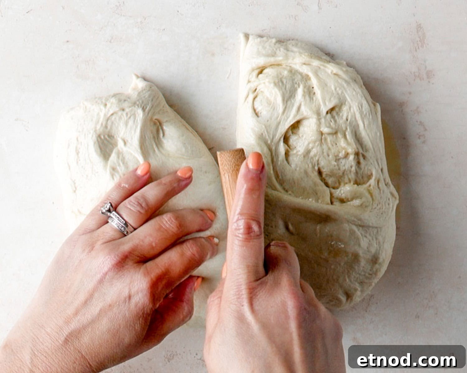 Crusty Italian Herb Cheese Bread — Same-Day or Overnight Recipe 10 Turn dough out onto a clean work surface and divide in half.