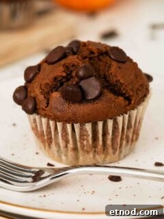 Chocolate Pumpkin Muffins with Melty Chips — Fall Baking Recipe 14 A closeup of a chocolate pumpkin muffin with chocolate chips on top.
