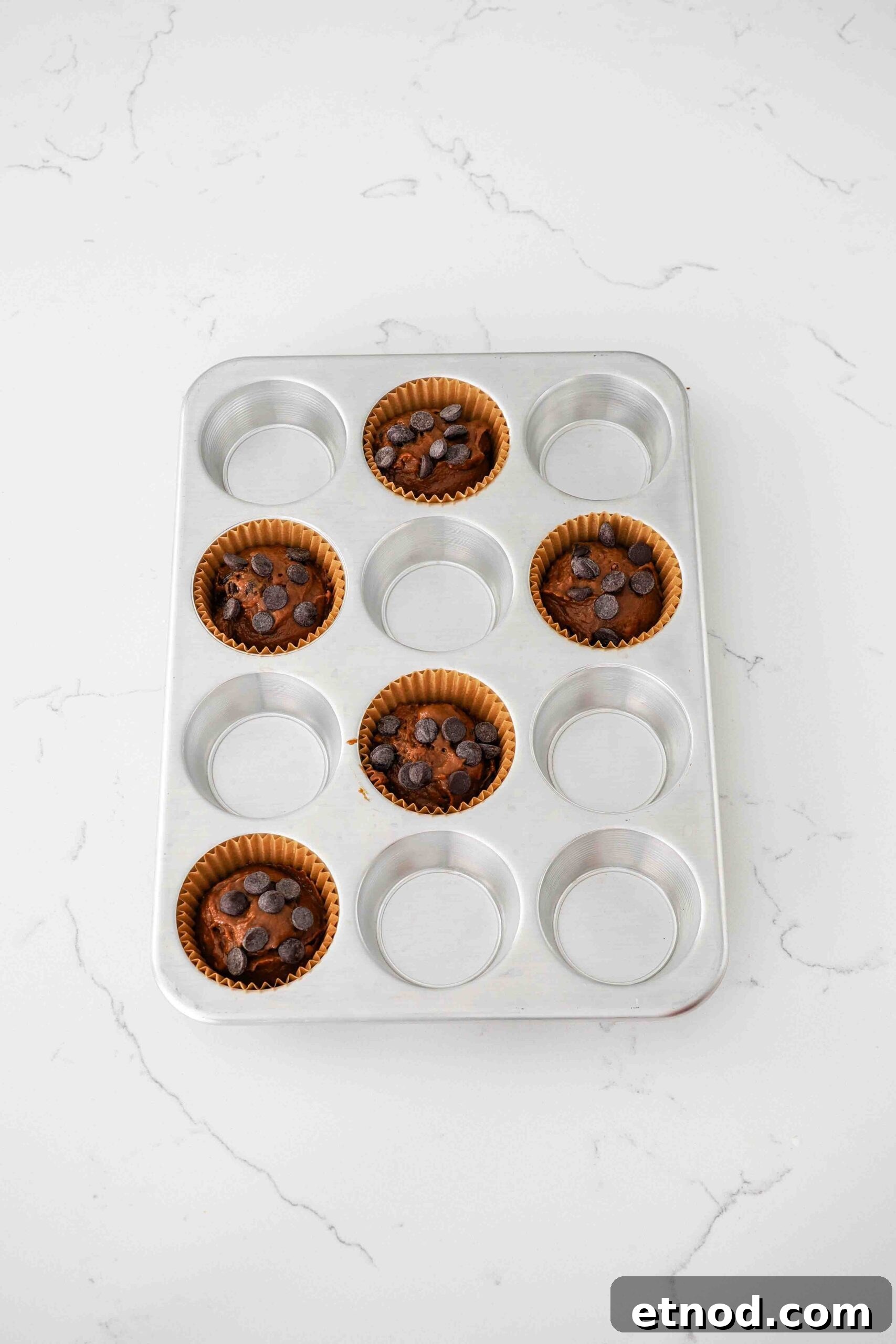 Chocolate Pumpkin Muffins with Melty Chips — Fall Baking Recipe 9 Chocolate pumpkin muffins in paper muffin cups and topped with extra chocolate chips.