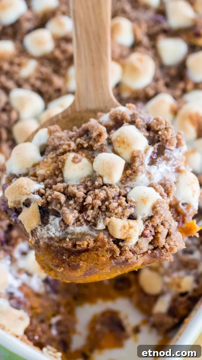 10 Must-Try Casserole Recipes for Weeknight Dinners 11 Sweet Potato Casserole Recipe