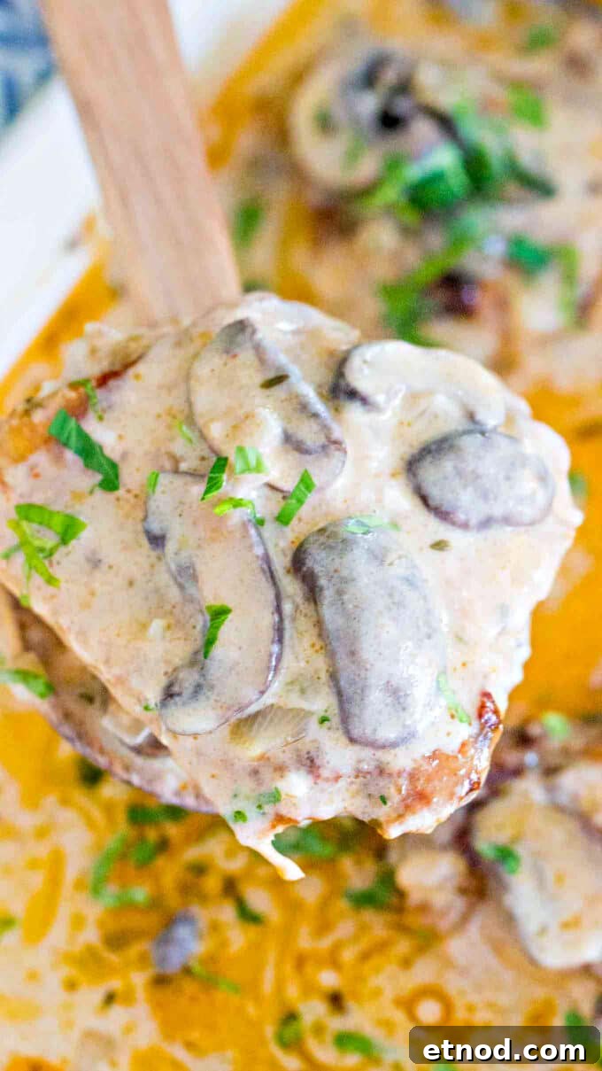 10 Must-Try Casserole Recipes for Weeknight Dinners 3 Creamy Chicken and Mushroom Casserole