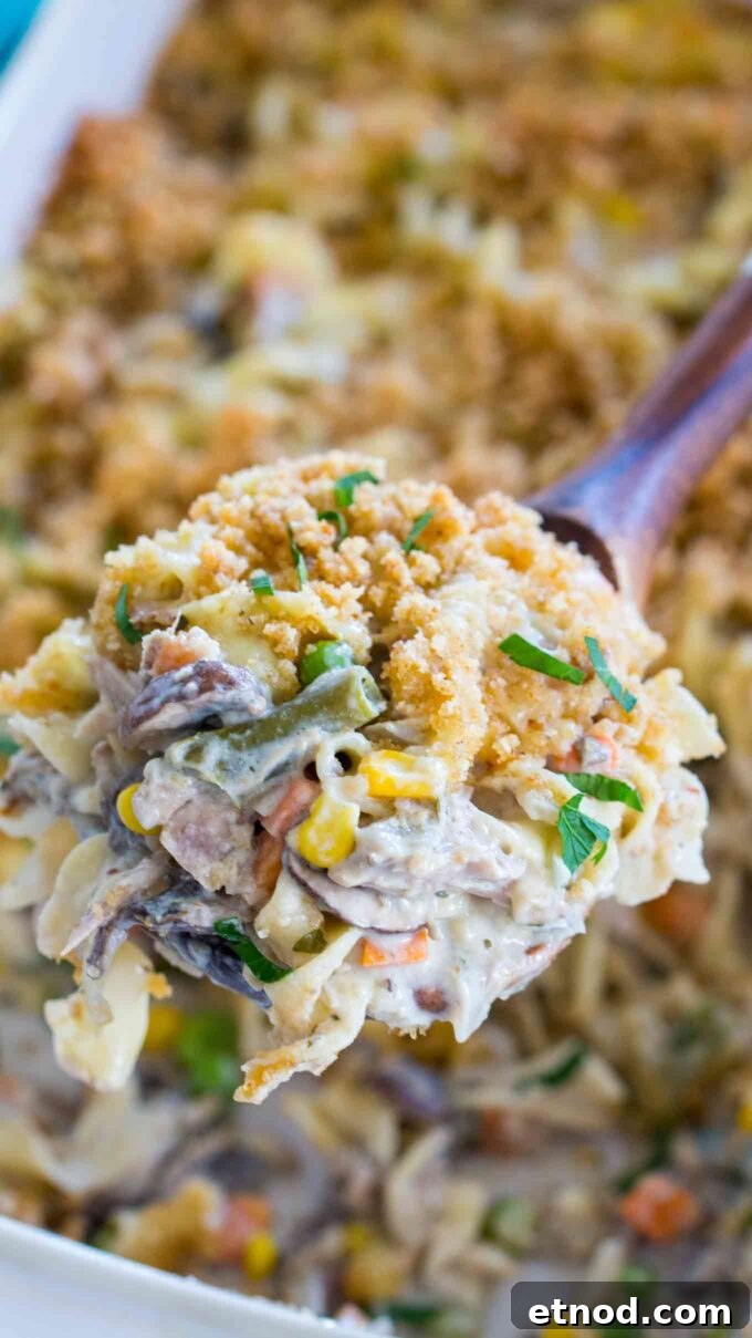 10 Must-Try Casserole Recipes for Weeknight Dinners 5 Turkey Tetrazzini Casserole