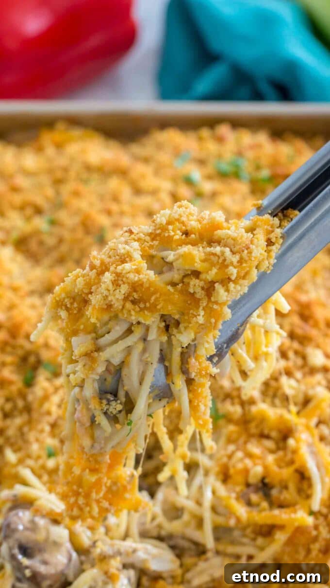 10 Must-Try Casserole Recipes for Weeknight Dinners 6 Chicken Spaghetti Casserole