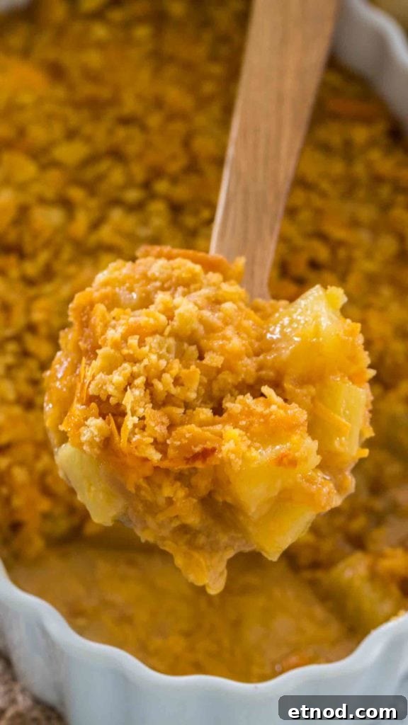 10 Must-Try Casserole Recipes for Weeknight Dinners 7 Pineapple Casserole Recipe