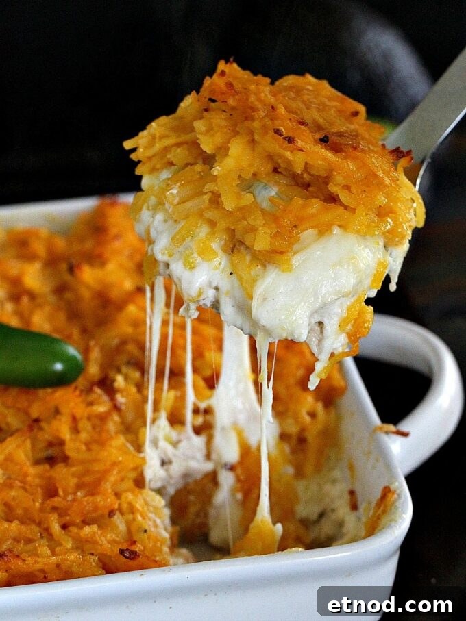10 Must-Try Casserole Recipes for Weeknight Dinners 8 hash brown chicken jalapeno casserole