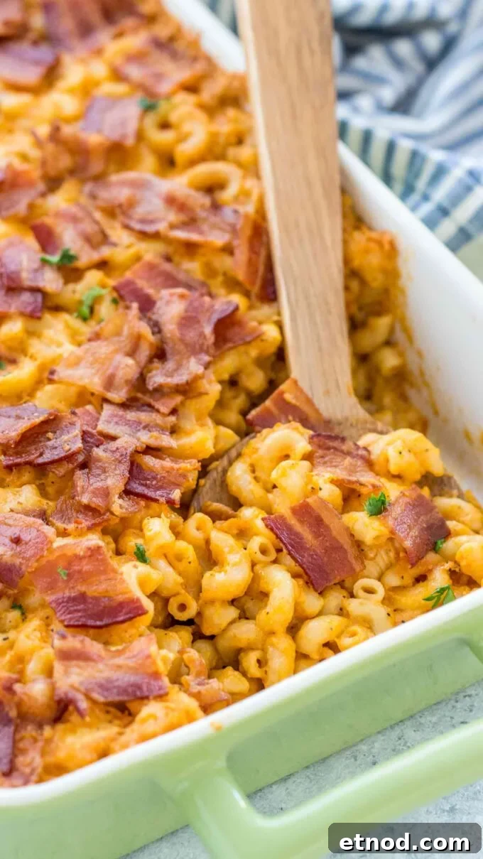 10 Must-Try Casserole Recipes for Weeknight Dinners 10 Buffalo Chicken Mac and Cheese Casserole