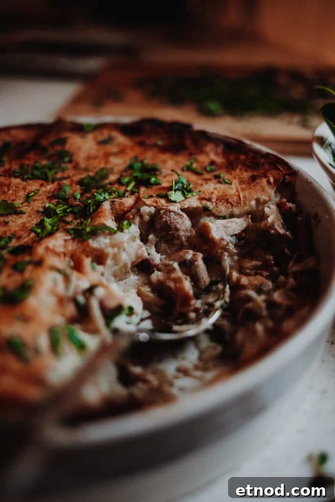 Creamy Leek and Mushroom Pie Recipe for Cozy Dinners 2 Leek & Mushroom Pie - Vegan, GF & Healthy! Georgie Eats
