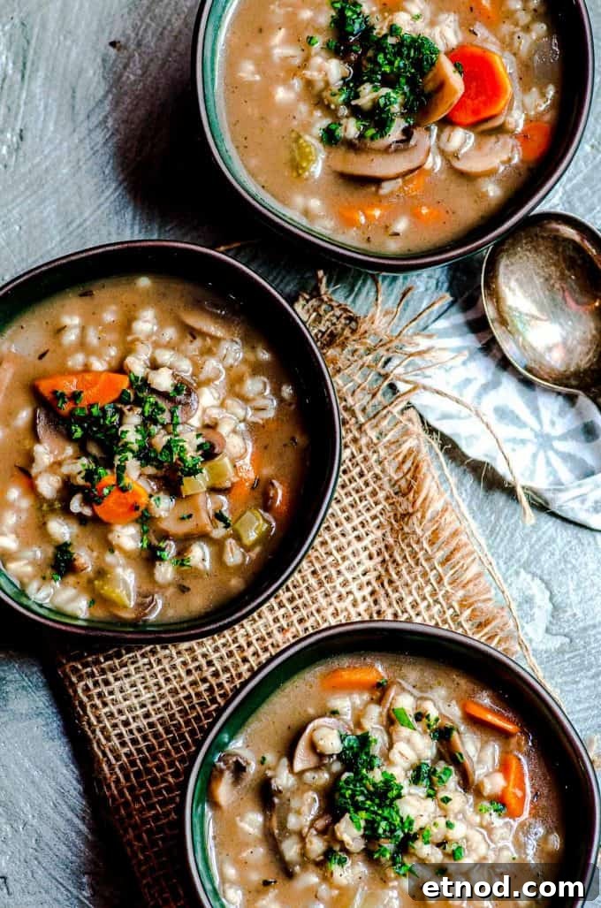 A closer overhead view of three bowls of mushroom barley soup