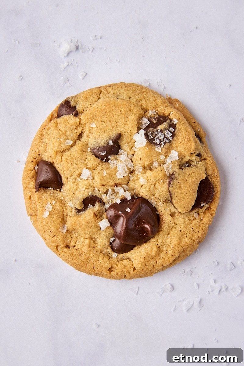 Brown Butter Chocolate Chip Cookies with Extra Chewiness 14 Brown Butter Chocolate Chip Cookies
