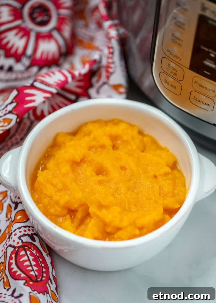 Instant Pot Butternut Squash Recipe Bowl of Instant Pot Butternut Squash Puree