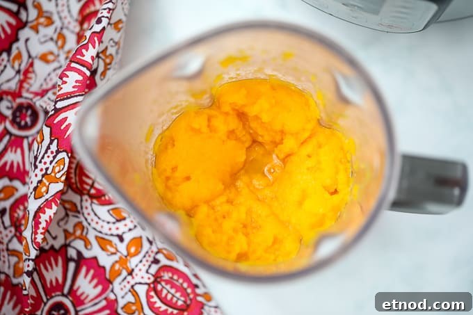Instant Pot Butternut Squash: Tender, Creamy Side Dish 3 Butternut Squash puree in blender.