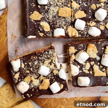 Gooey S'mores Bark Recipe for Dessert Lovers 16 s'mores bark